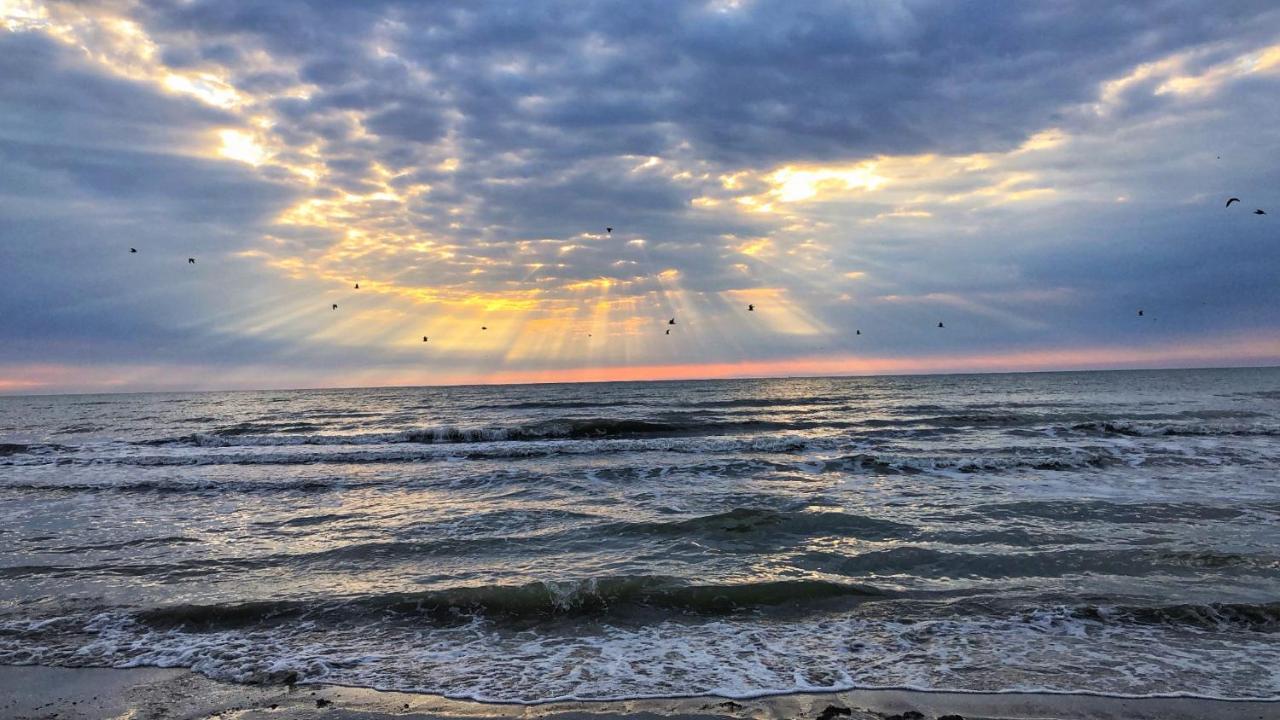 Lucky Star Studio Mamaia Nord Нэводари Экстерьер фото